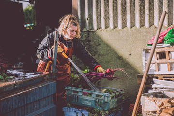 Female vegetable grower washing beetroot