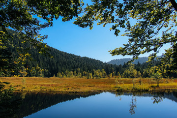 Naturszenerie mit See und Moor