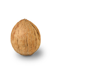 Natural organic walnut with shadow isolated on white
