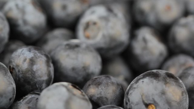 fresh blueberry fruits rotating closeup selective focus