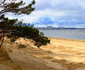 The coast of the Gulf of Finland. Saint Petersburg. Russia.