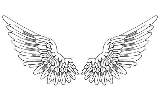 Wings of the Angels 26 Stock Illustration | Adobe Stock