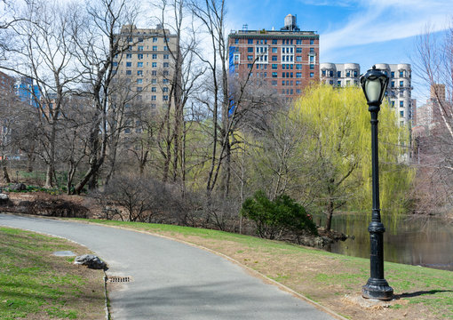 Street Light along a Path next to The Pool at the Northern Area of Central Park in New York City during Spring