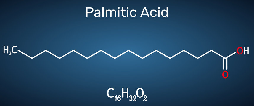 Palmitic acid or hexadecanoic, C16H32O2 molecule. It is saturated fatty acid. Structural chemical formula on the dark blue background