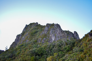 The Pinnacles, Coromandel Forest Park