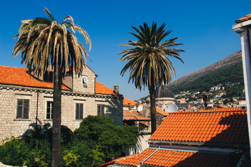 Croatian City Dubrovnik in Summer Red Rooftops and Palmtrees