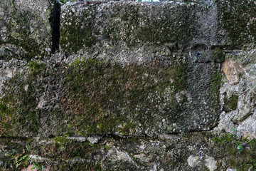 Texture - Wall Deterioration - Moldy wall - Rust