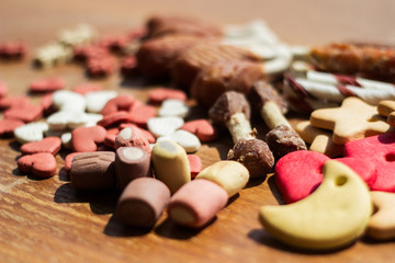 Dog tasty colored biscuits, snacks for dogs 