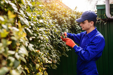 Young man gardener in blue overalls and protective gloves a working in the garden