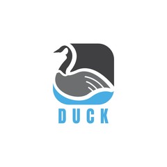 Duck Logo design vector template Linear style. Luxury lineart icon. Outline Swan Bird Logotype Jewelry Fashion concept.