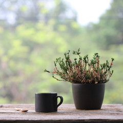 black coffee mug with heathers plant in black pot on wooden table at outdoor