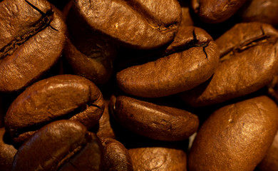Coffee beans closeup