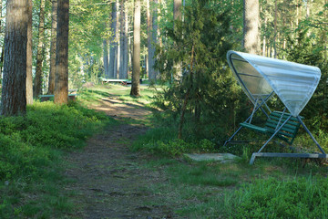A swing bench stands near a pedestrian path in a summer park amidst greenery