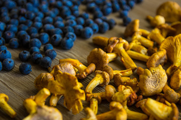 Blueberries and chanterelle mushrooms on wooden table background