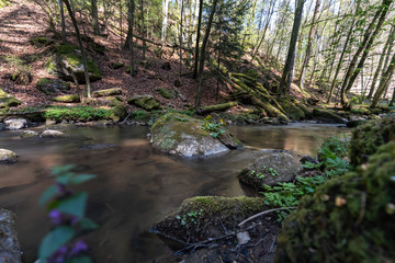 Bach im Perlbachtal Mitterfels, Niederbayern