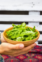 Fresh green detox lettuce leaves in woman hands. Vegan healthy food,