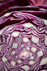 Obraz premium Macro di Cavolo verza rosso (interno)