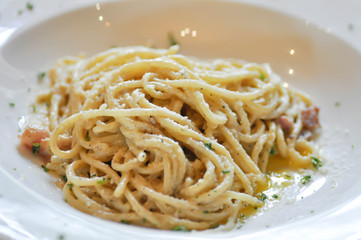 spaghetti or spaghetti carbonara