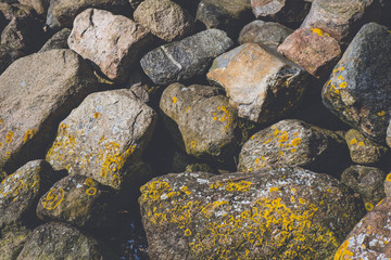 huge stones on the seashore covered with algae and moss