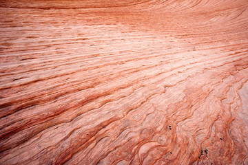 Zion National Park scenes