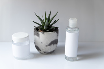 Cosmetic bottle for liquid, cream, gel, lotion. Hand sanitizer. Organic natural science beauty product. Battle with haworthia flower on white background