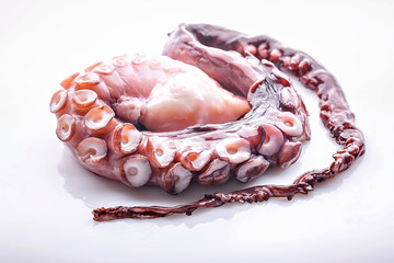 Delicious seafood. Purple octopus tentacle on white background. Horisontal shot. Close-up.