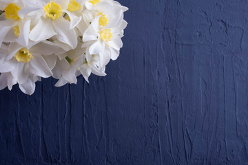 daffodils lie on a table on a blue background