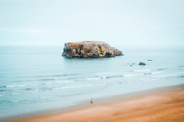 rocky coast of the sea