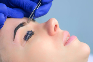 Beautician plucking eyebrows with tweezers to woman in beauty salon during tint eyebrow and lash...