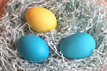 Colorful Easter eggs in a nest 