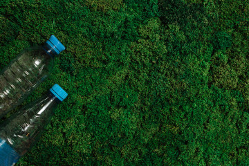 plastic bottle lie on grass moss, place for text, environmental issue, recycling, pollution of the planet