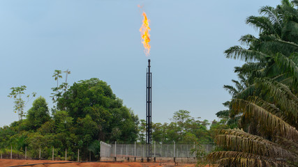 Front view of tower of a natural gas well in production burning gas on top in the middle of the...