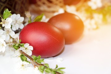 Painted red and burgundy eggs for Easter holiday.
