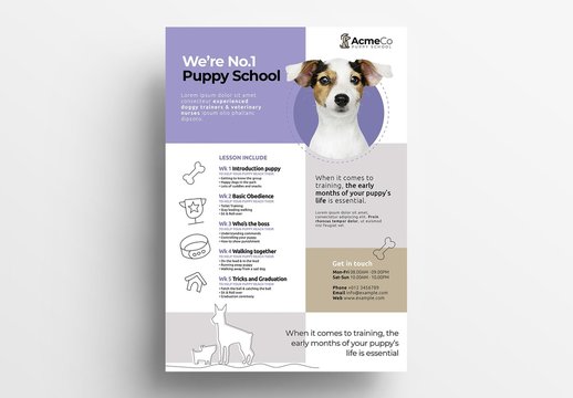 Puppy School Flyer Layout