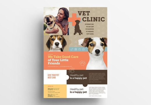 Pet Vet Clinic Flyer Layout