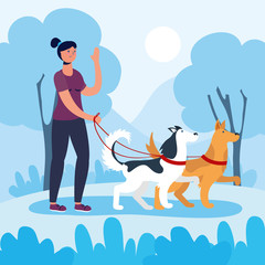 woman walking dogs activity character