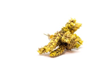 A Bunch Of Sage Tea Leaves on White Background