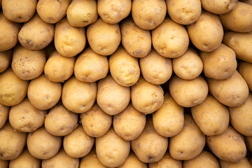 potatoes laid out on the counter for sale in the organic market