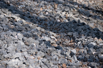 stones and foliage