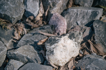 stones and foliage