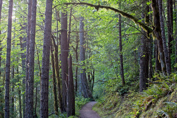 Pacific Northwest Photography