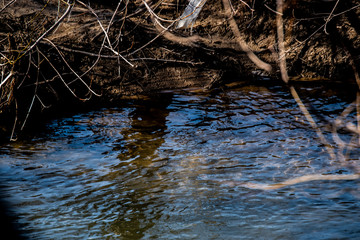 stream
