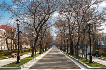 Fototapeta na wymiar Park alley without people. Sunny spring day. Self-isolation in the city. Center of Moscow, Tverskaya Boulevard.