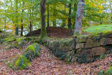 Monte Ulia, Donostia San Sebastian