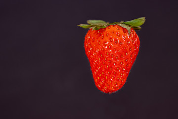 single red strawberry against a dark background