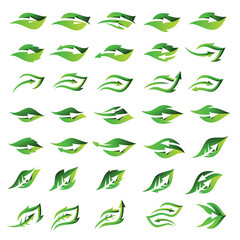 Set Leaf Arrow Logo Design Vector