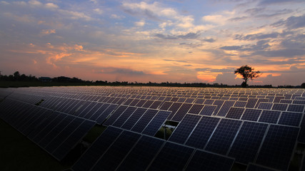 Solar panels with warm sunrise
