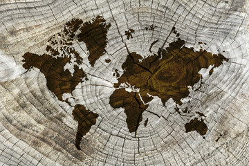 World map on wood