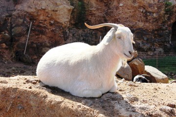 Oasis Park, Fuerteventura © Iga