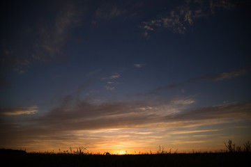 beautiful sunset in the summer field